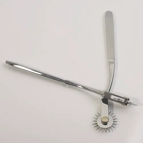 SunnyWorld Professionelle Zahnrad-Neuronendiagnose