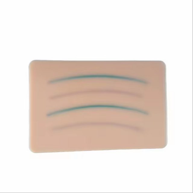 Coussin de pratique de Suture d'entra&icirc;nement, coussin de Suture d'injection de pratique m&eacute;dicale de la peau avec &eacute;tui