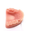 Dentalmodul-Naht-Trainingskit, simuliertes orales Nahtmodell f&uuml;r die medizinische Ausbildung, Zahn- und Zahnfleischnaht-&Uuml;bungspad