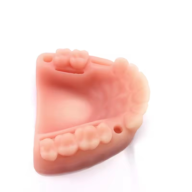 Dentalmodul-Naht-Trainingskit, simuliertes orales Nahtmodell f&uuml;r die medizinische Ausbildung, Zahn- und Zahnfleischnaht-&Uuml;bungspad