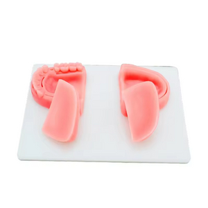 Cuscinetto di sutura ortodontico Modulo dentale Kit di pratica del cuscinetto di sutura chirurgico per cuscinetti di sutura dentale medico per dentisti Ideale