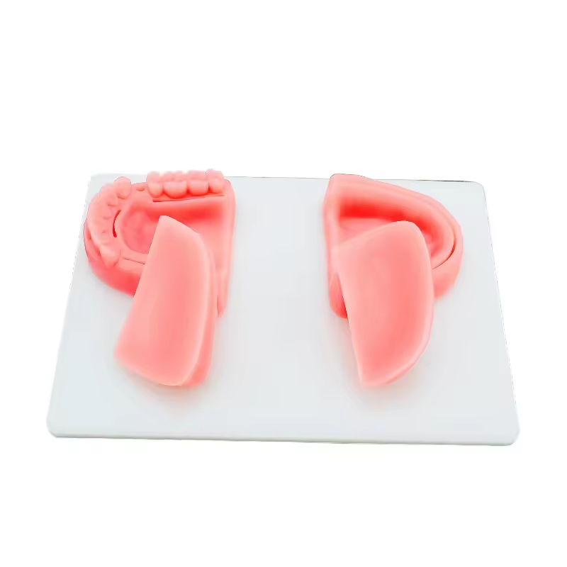 Almofada de sutura ortod&ocirc;ntica m&oacute;dulo dental kit de pr&aacute;tica de almofada de sutura cir&uacute;rgica para almofadas de sutura dent&aacute;ria m&eacute;dica para dentistas ideal