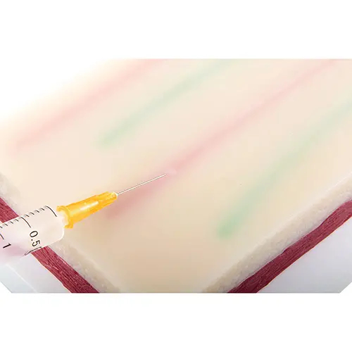 Mod&egrave;le de coussin d'entra&icirc;nement pour injection IV, ponction veineuse, 4 veines int&eacute;gr&eacute;es et 3 couches de peau