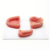 Kit di addestramento alla sutura del modulo dentale Modello di sutura orale simulato per la formazione medica Cuscinetto per esercitarsi su sutura di denti e gengivali