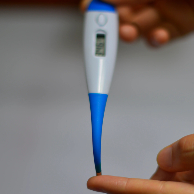 Term&oacute;metro digital impermeable para fiebre con sonda
